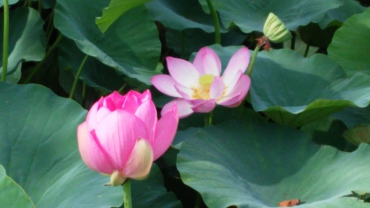 2513023D5798317D2661C2