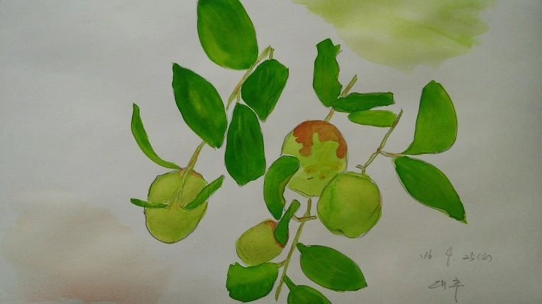 2465DA4357E795E63D1F82