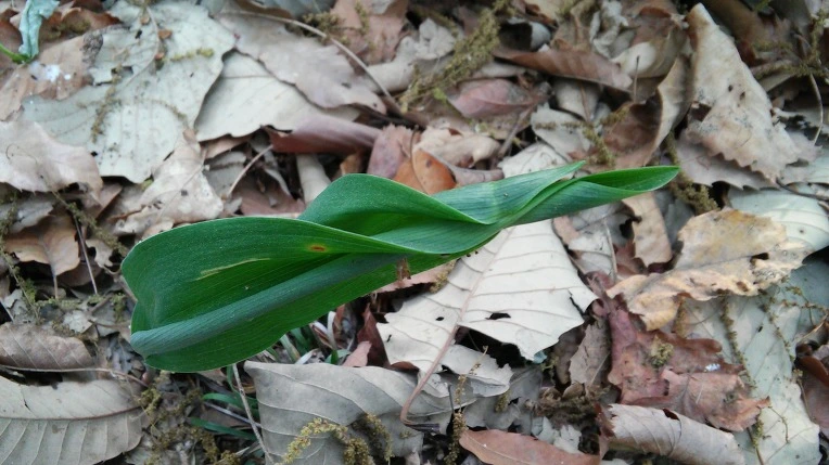 230E3B4C5726977E106978