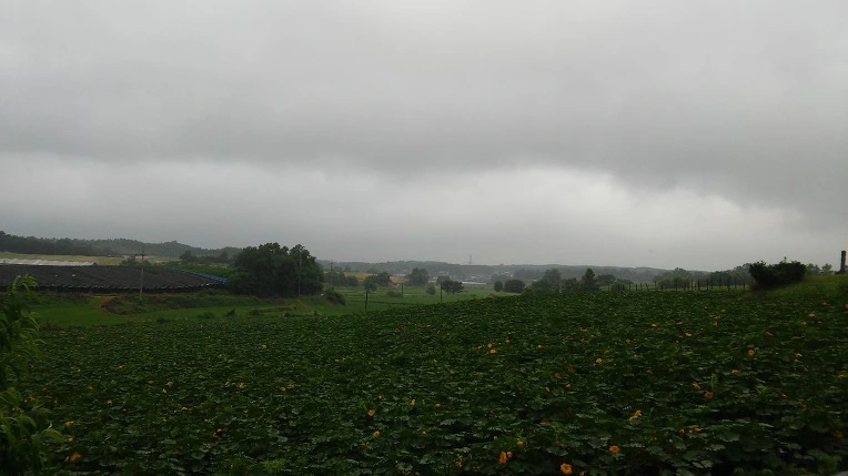 22146946577707323265F5