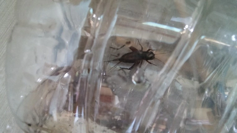 234AE44B57D21A7C140EBA