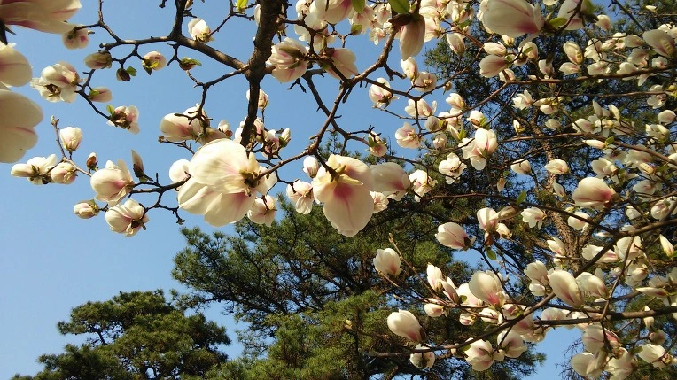 24612A4D570C6B2127EC03