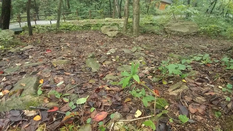 99131C4C5DBE6BAC047906