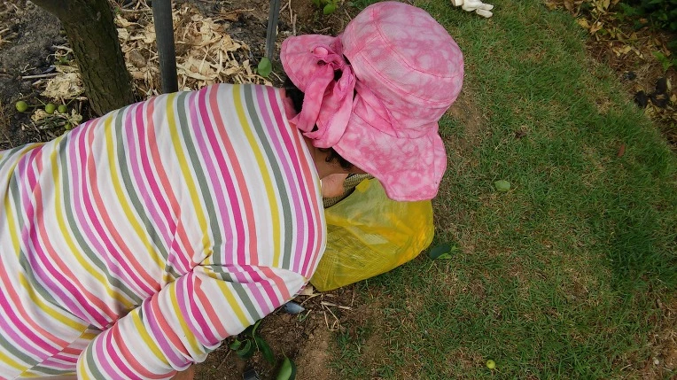 247AC03F5757B50C38F0A1