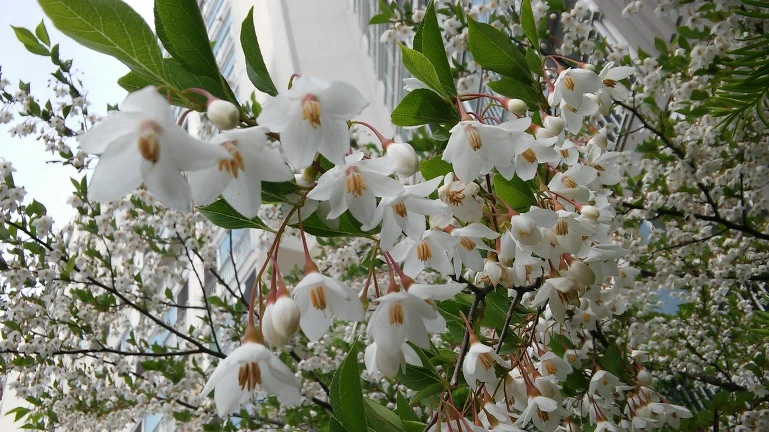 2213023E564EB24A3CDA6A