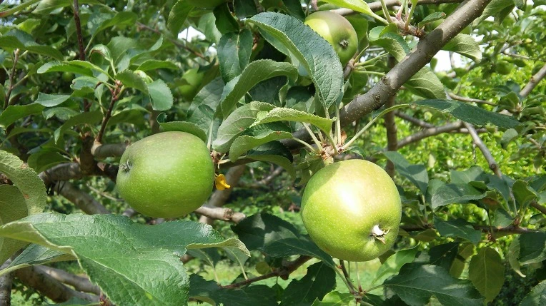 212D75445765F50323B2A2