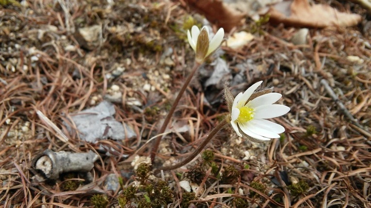 257E134356F4DCE210764C