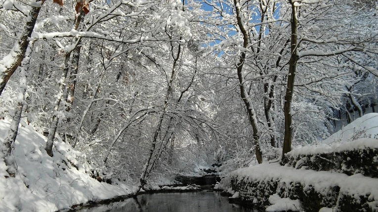 212DCA3F5661214409193B