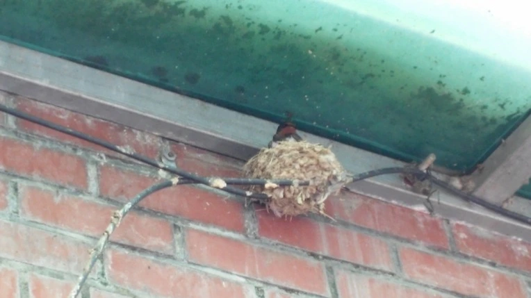 221C274D5786C0FD12E26C