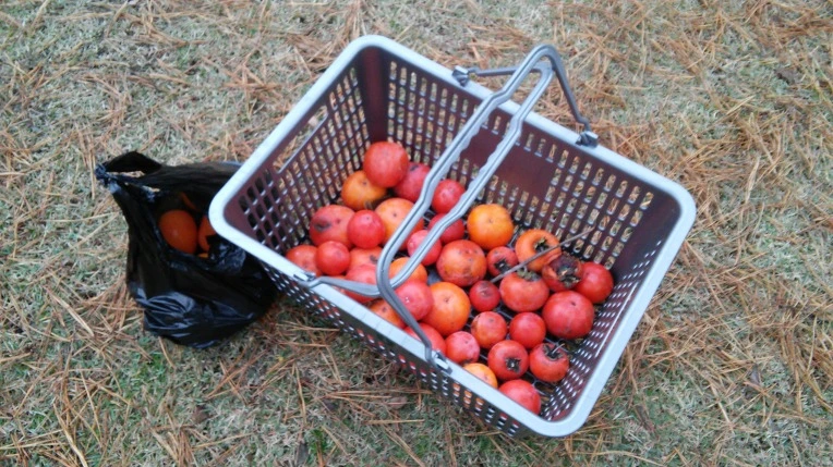 25717D4856499ADD1FAA90