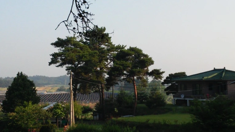 227A5E4E576F7FFA1817DA