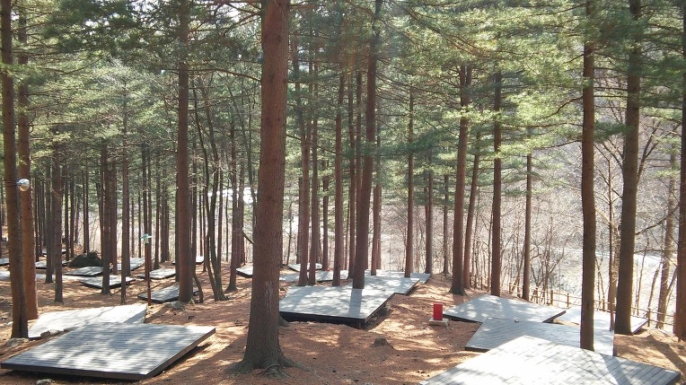 2104373356F77597232044