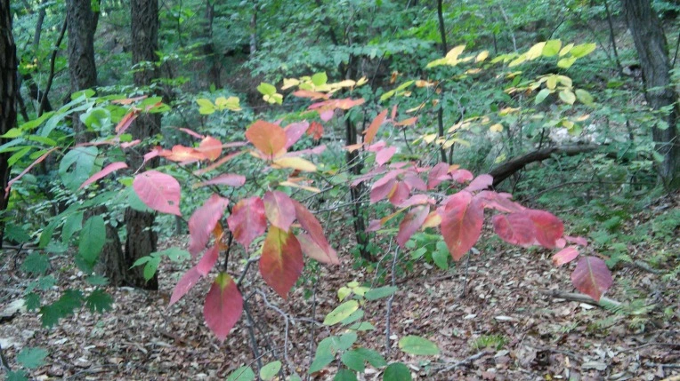 2737C142560FBC762DC0CE