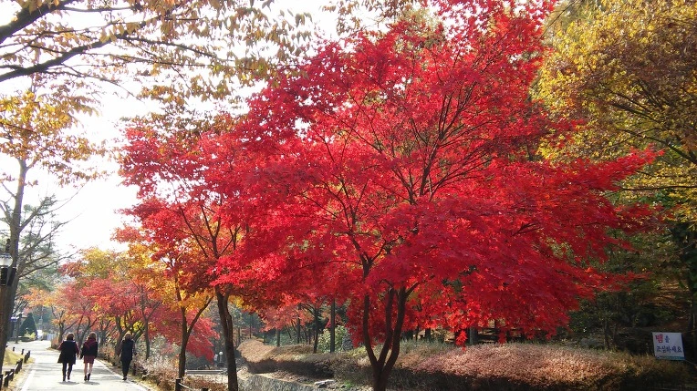 2223CD48563C464B10FCC1