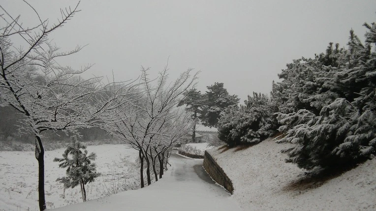 2154943E56D10AE60D1DD4