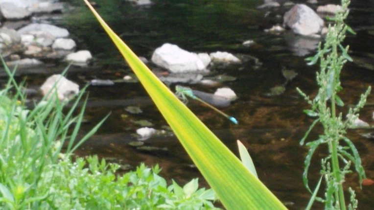 23665E48572561BD020EB7