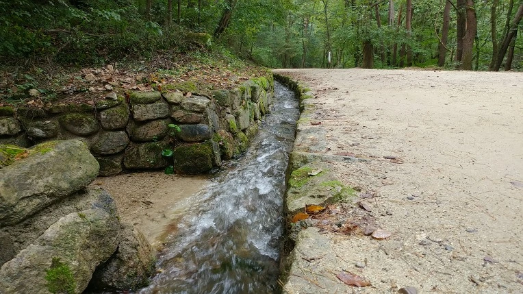 99A9BF485D9ACD7F01D8EC