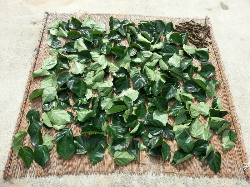 26474646541A9472227E45