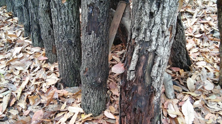 23773B4856499AD319DC90