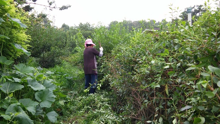 23553333578C5BB716E276