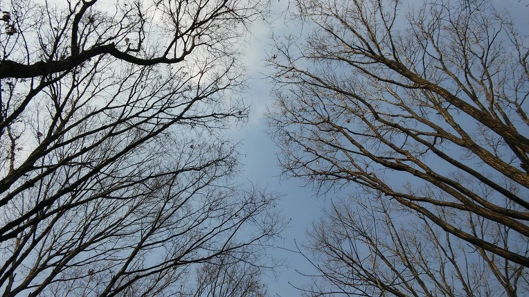 213D664E58B3665217B53C