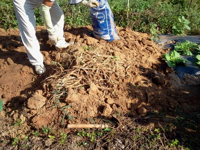 18193D334E66D82B235F3D