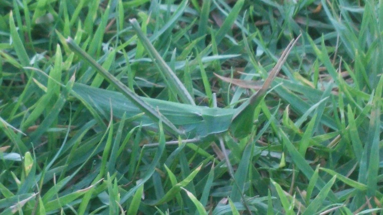 244C763E57B27FA91B960C