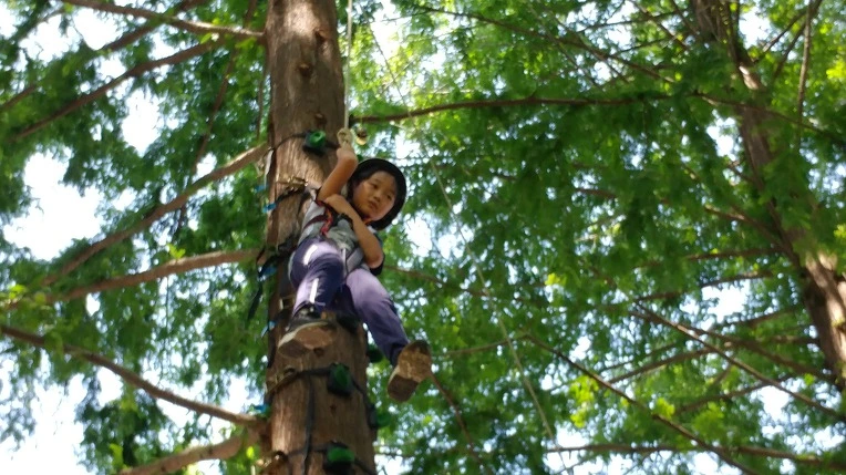 993FBA385B57C00623F51D