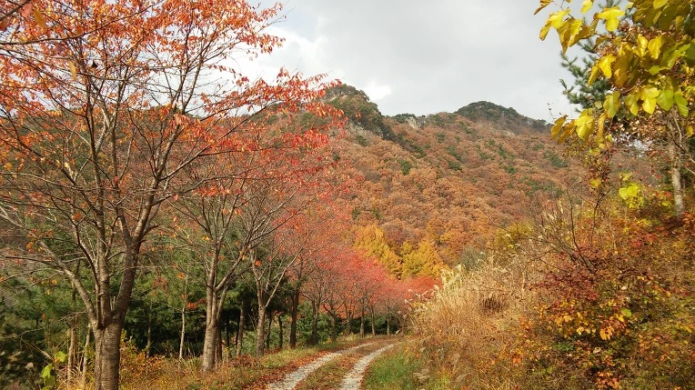 235B1F355643156029CE11