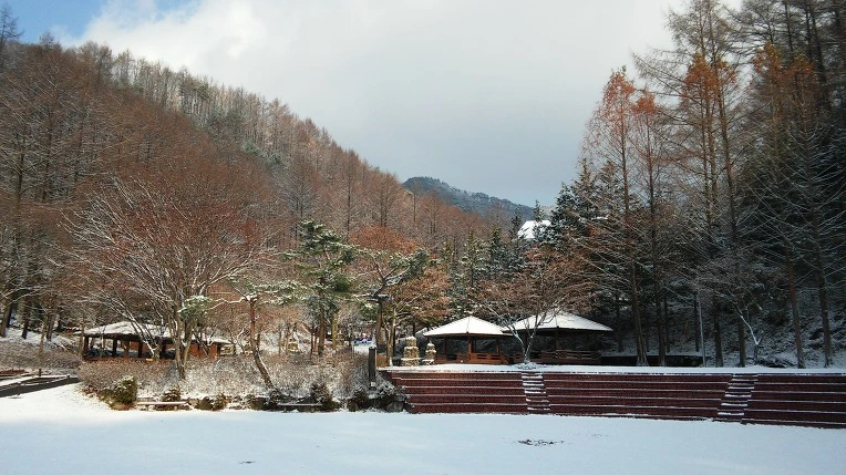 2129073A5656A5E119D043