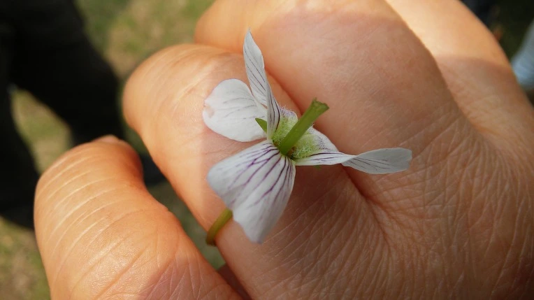 212EAD4B572480D419D58F