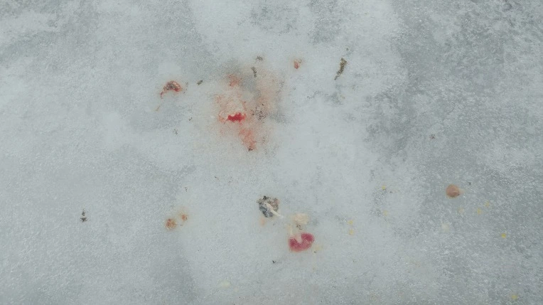 99AE2E505A44652007A462