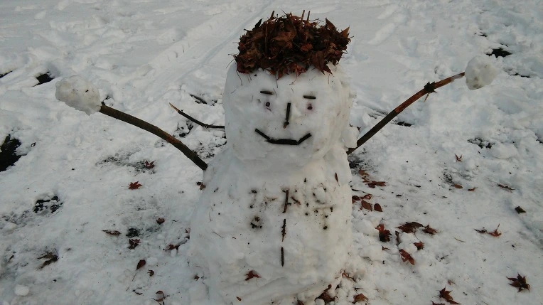 232A553656720F8205BED7