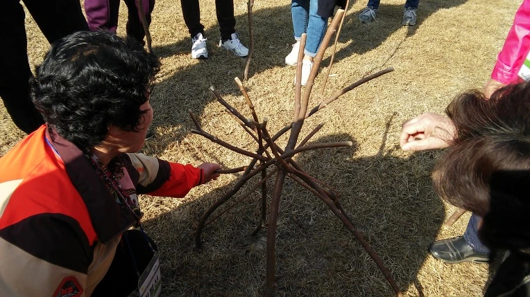 2606E44856FE1A281E5AB9