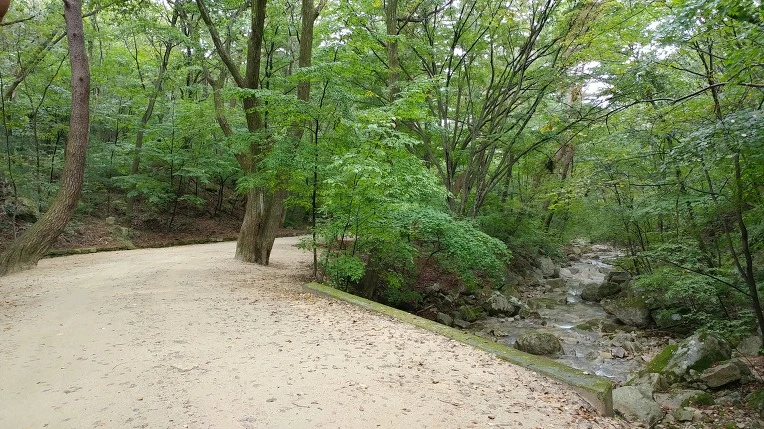 99BEE14F5D9ACD7A028F37