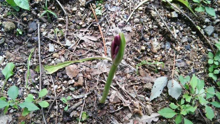 999C04335984F67718C41E