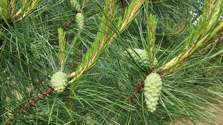 230BE73C5747BA5D2CB3A1