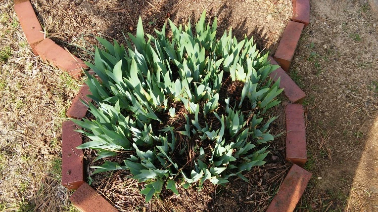 2642DB4156FC8D250B8F28