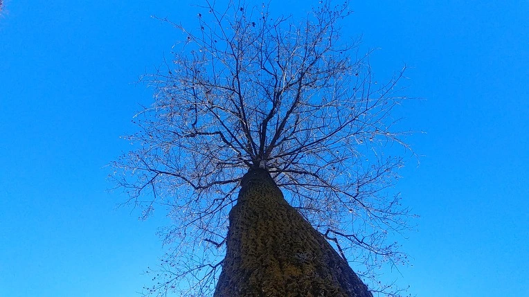 9977433E5C275B102A341E