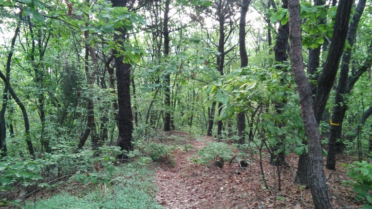 2512EE4E572696EC1069FE