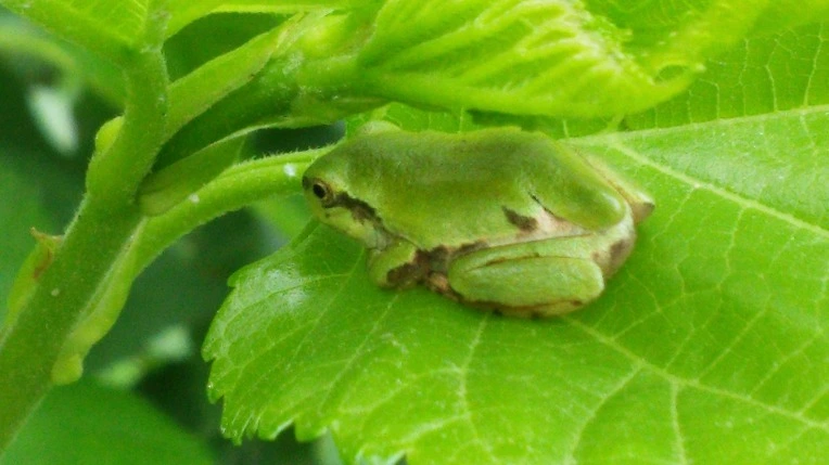 273F4F4756B026DD11F00C