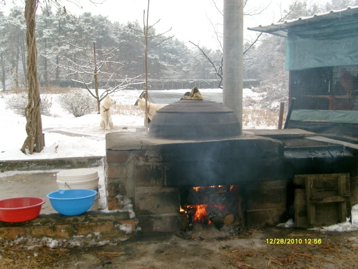 2228F347547F907D27FE22