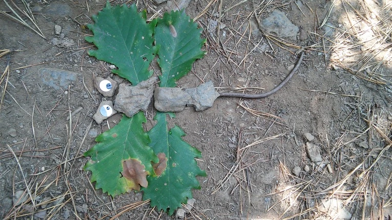 257621455621FF6503E402