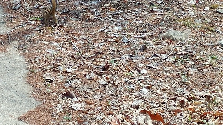 99AB8F485AC8A21714681B