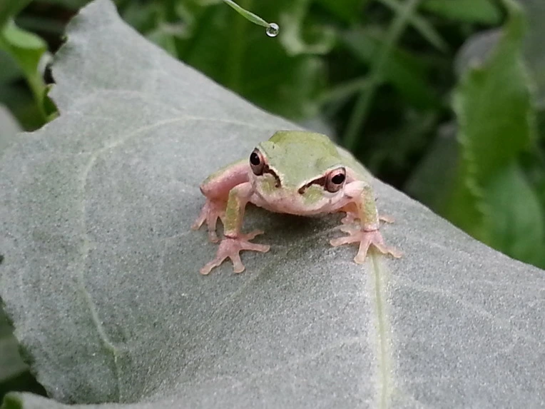 21518D4756B024D734E966