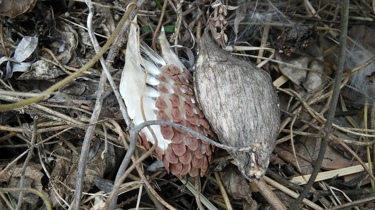 2460A73556B3078A0F7428