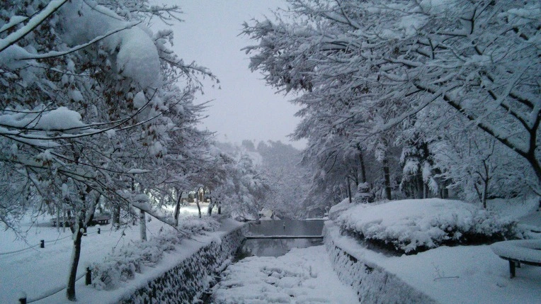 2405073F566008F7327157