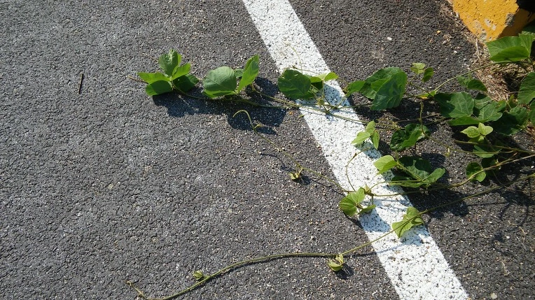 2146754C592A650927AC22