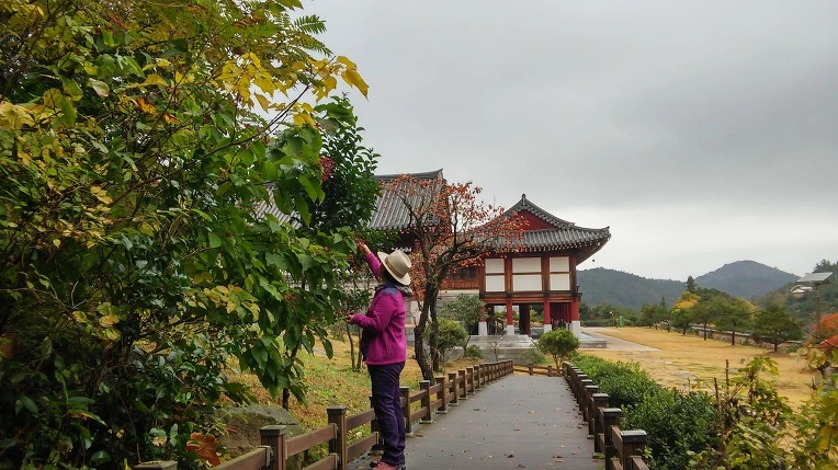 267F4E39564008F32354E0