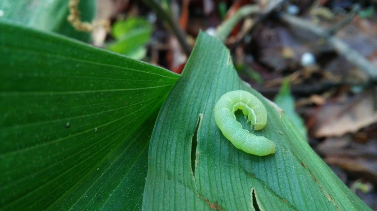 230B874F572929AF14B27E